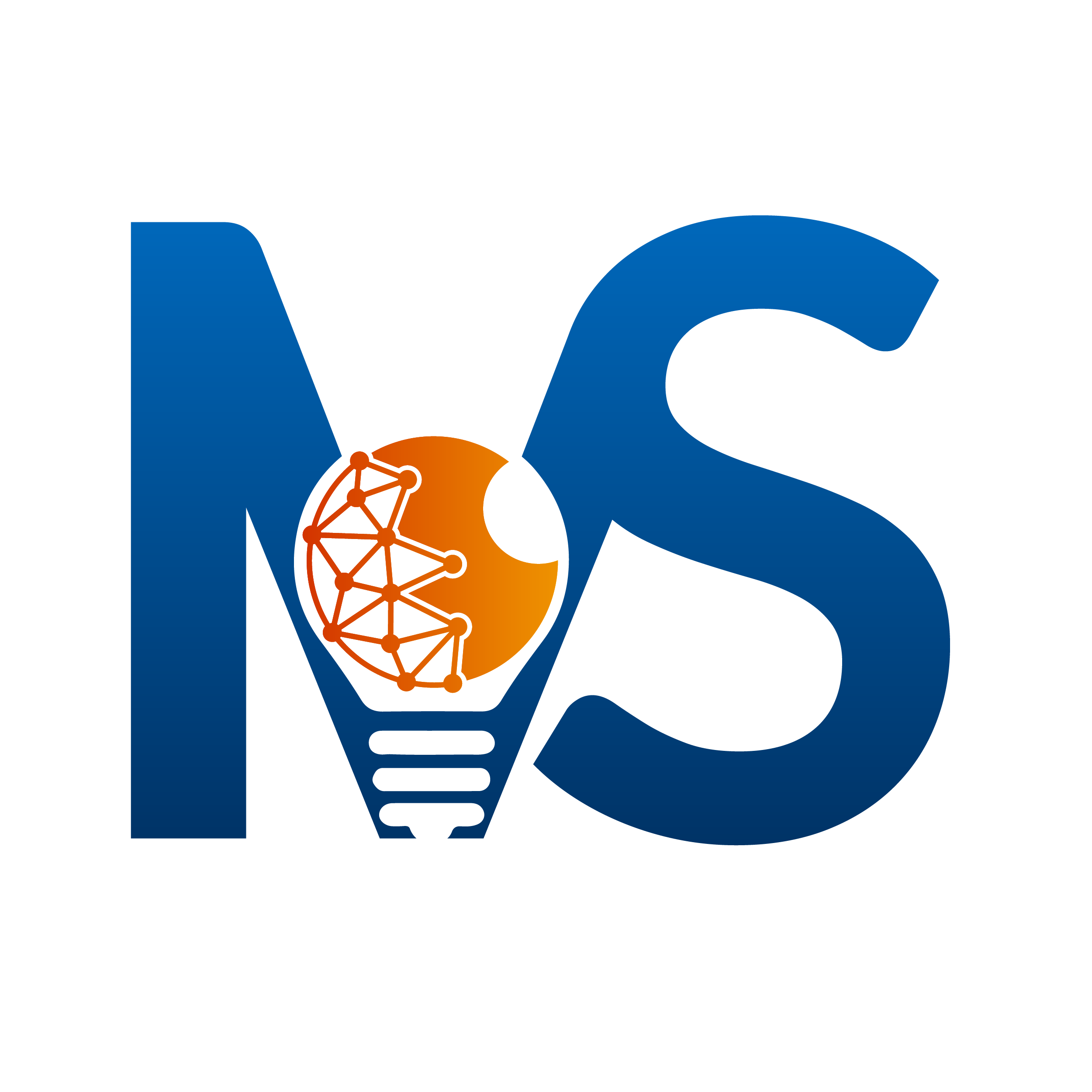 IVS Logo